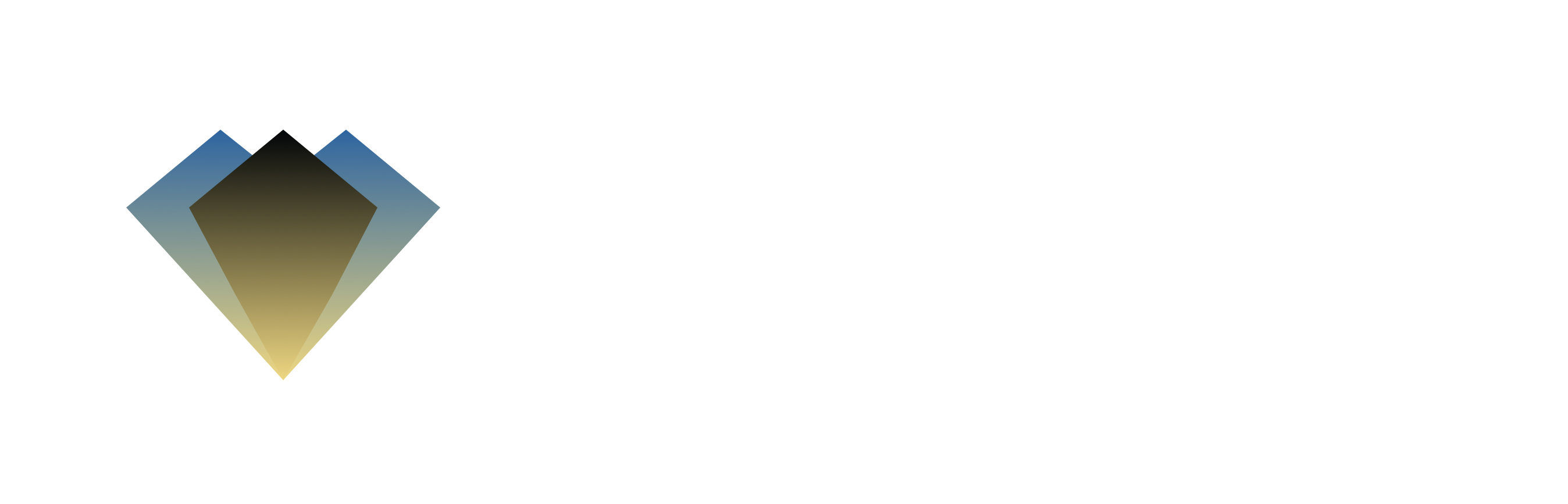 Logo NGRAVE