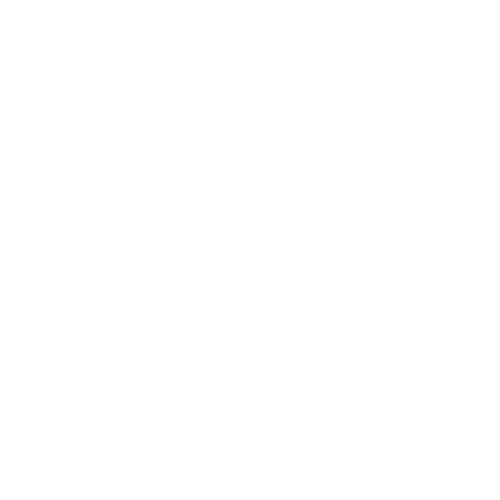 Logo Forcebit