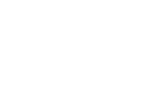 Logo Praxy.ai