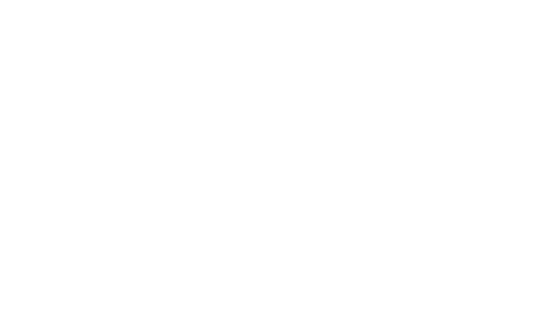 Logo Specifix