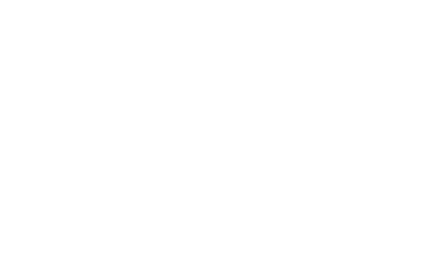 Logo Wildhartt